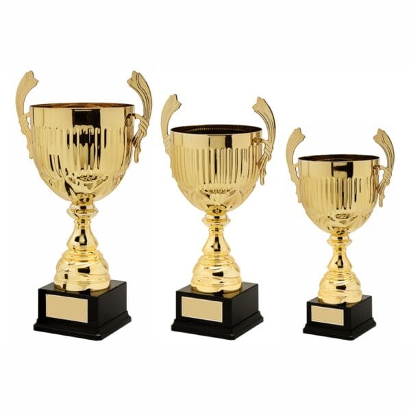 Gold Presentation Cup With Handles