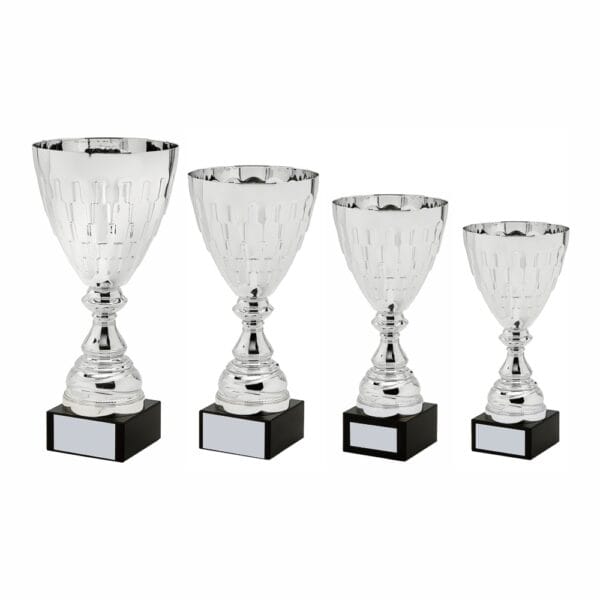 Silver Presentation Cup