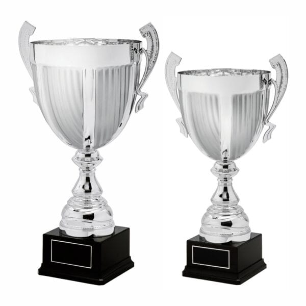 Silver Presentation Cup With Handles
