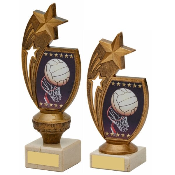 Antique Gold Netball Trophy