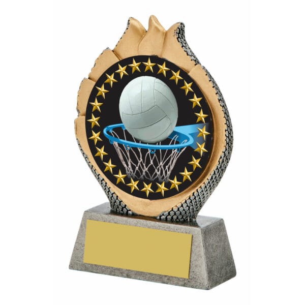 Antique Silver Netball Resin Stand