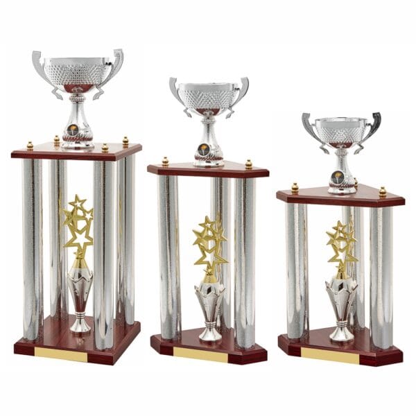 Stunning Showstopper Award