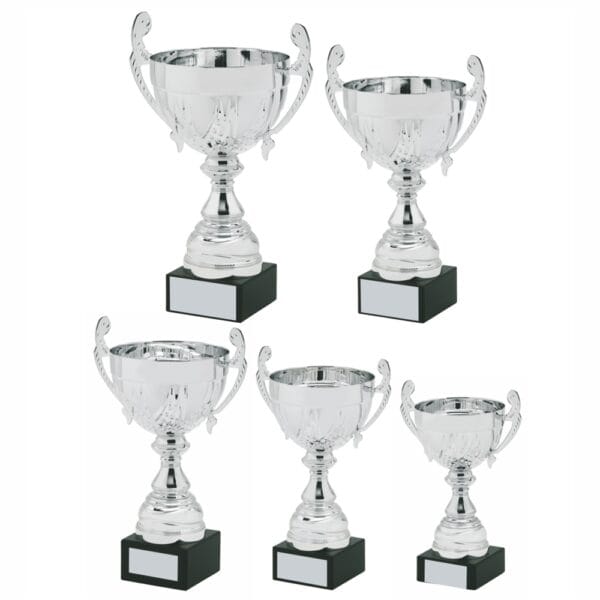 Silver Presentation Cup with Handles