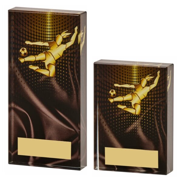 Female Volley Football Glass
